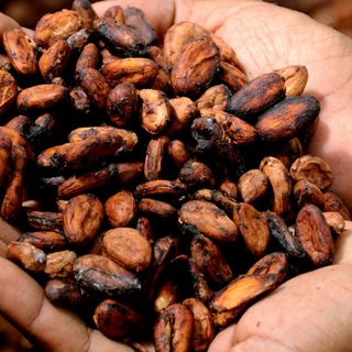 Les bienfaits insoupçonnés du beurre de cacao pour votre peau et vos cheveux